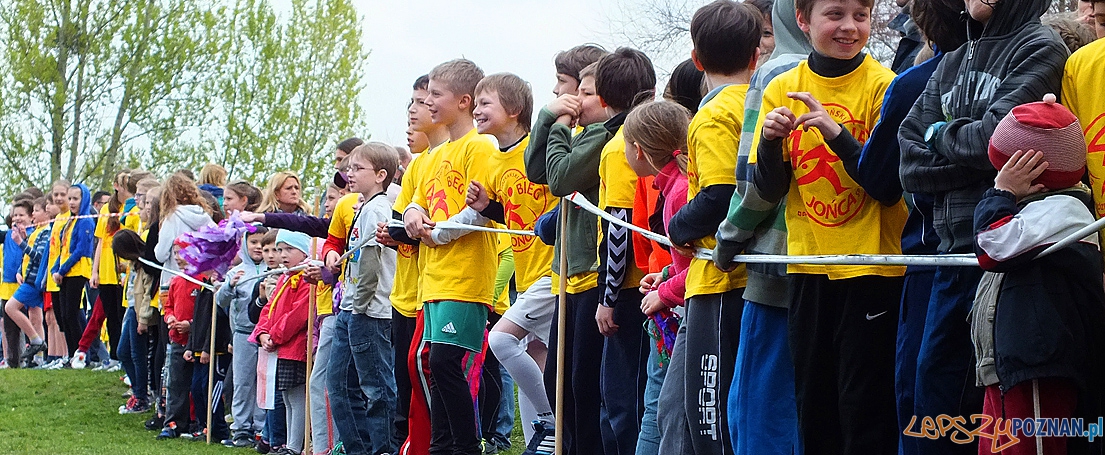 kibice Foto: kibice Foto: