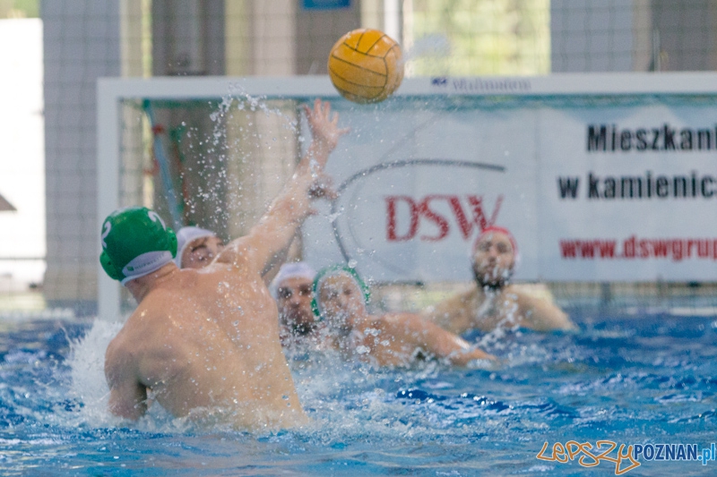 DSW Waterpolo Poznań - Legia Warszawa Foto: lepszyPOZNAN.pl / Piotr Rychter DSW Waterpolo Poznań - Legia Warszawa Foto: lepszyPOZNAN.pl / Piotr Rychter