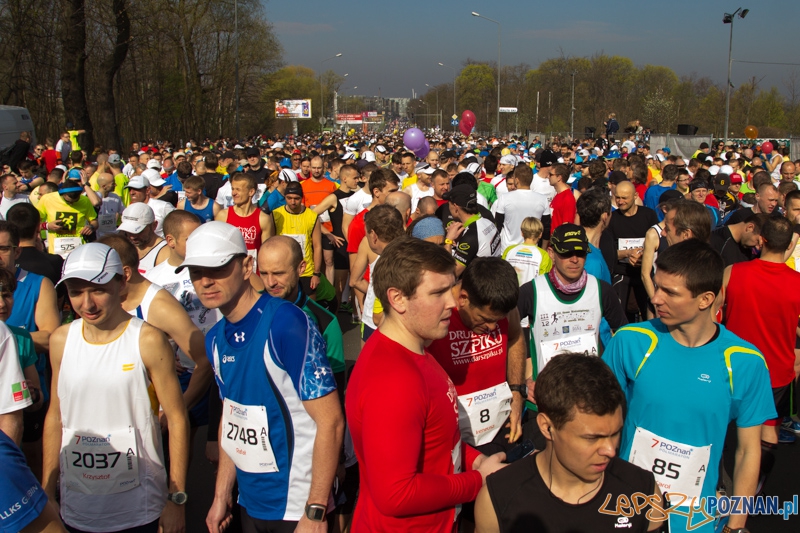 7. Poznań półmaraton - 6.04.2014 r. Foto: lepszyPOZNAN.pl / Piotr Rychter 7. Poznań półmaraton - 6.04.2014 r. Foto: lepszyPOZNAN.pl / Piotr Rychter