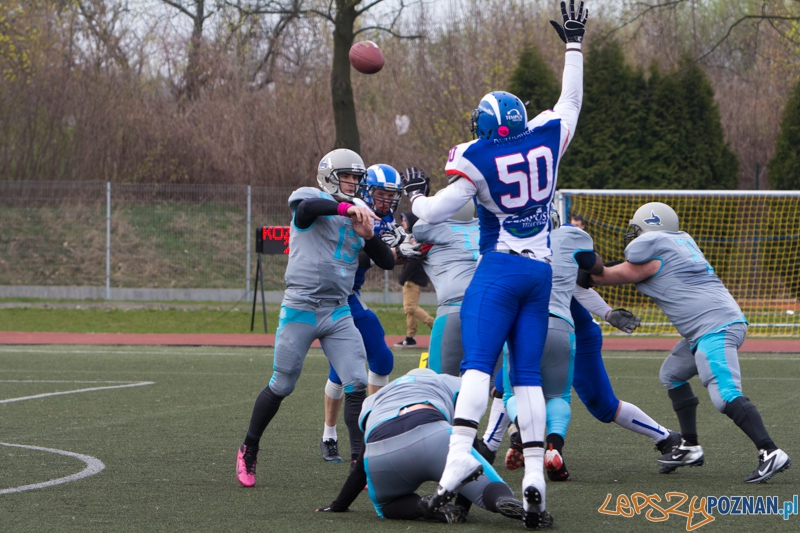 Kozły Poznań - Warsaw Sharks Foto: lepszyPOZNAN.pl / Piotr Rychter Kozły Poznań - Warsaw Sharks Foto: lepszyPOZNAN.pl / Piotr Rychter