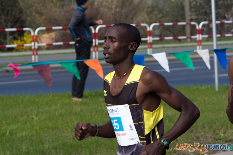 7. Poznań półmaraton - 6.04.2014 r. Foto: lepszyPOZNAN.pl / Piotr Rychter 7. Poznań półmaraton - 6.04.2014 r. Foto: lepszyPOZNAN.pl / Piotr Rychter