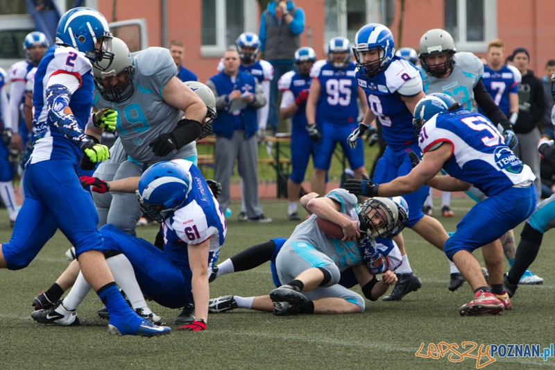 Kozły Poznań - Warsaw Sharks Foto: lepszyPOZNAN.pl / Piotr Rychter Kozły Poznań - Warsaw Sharks Foto: lepszyPOZNAN.pl / Piotr Rychter
