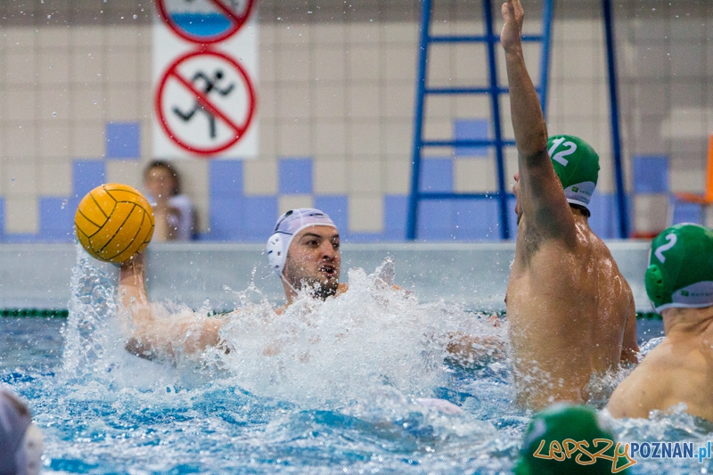DSW Waterpolo Poznań - Legia Warszawa Foto: lepszyPOZNAN.pl / Piotr Rychter DSW Waterpolo Poznań - Legia Warszawa Foto: lepszyPOZNAN.pl / Piotr Rychter