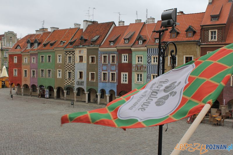 Muzeum Rogala z widokiem na Stary Rynek Foto: UMP Muzeum Rogala z widokiem na Stary Rynek Foto: UMP