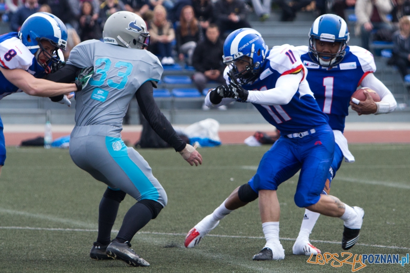 Kozły Poznań - Warsaw Sharks Foto: lepszyPOZNAN.pl / Piotr Rychter Kozły Poznań - Warsaw Sharks Foto: lepszyPOZNAN.pl / Piotr Rychter