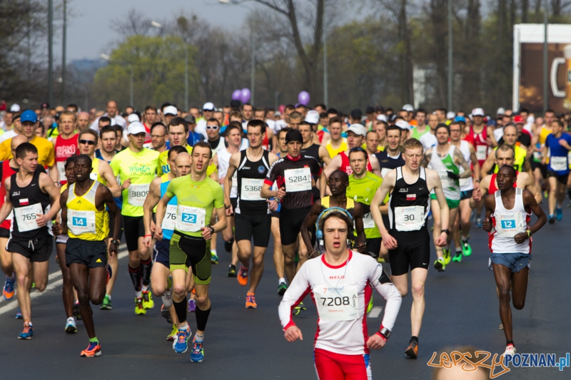 7. Poznań półmaraton - 6.04.2014 r. Foto: lepszyPOZNAN.pl / Piotr Rychter 7. Poznań półmaraton - 6.04.2014 r. Foto: lepszyPOZNAN.pl / Piotr Rychter