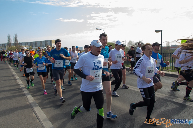 7. Poznań półmaraton - 6.04.2014 r. Foto: lepszyPOZNAN.pl / Piotr Rychter 7. Poznań półmaraton - 6.04.2014 r. Foto: lepszyPOZNAN.pl / Piotr Rychter