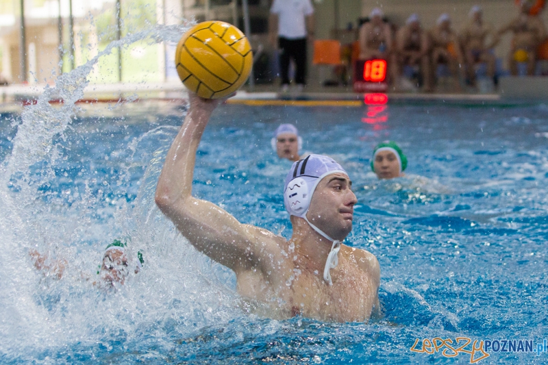 DSW Waterpolo Poznań - Legia Warszawa Foto: lepszyPOZNAN.pl / Piotr Rychter DSW Waterpolo Poznań - Legia Warszawa Foto: lepszyPOZNAN.pl / Piotr Rychter