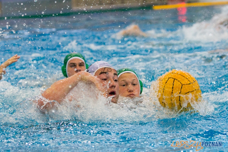 DSW Waterpolo Poznań - Legia Warszawa Foto: lepszyPOZNAN.pl / Piotr Rychter DSW Waterpolo Poznań - Legia Warszawa Foto: lepszyPOZNAN.pl / Piotr Rychter