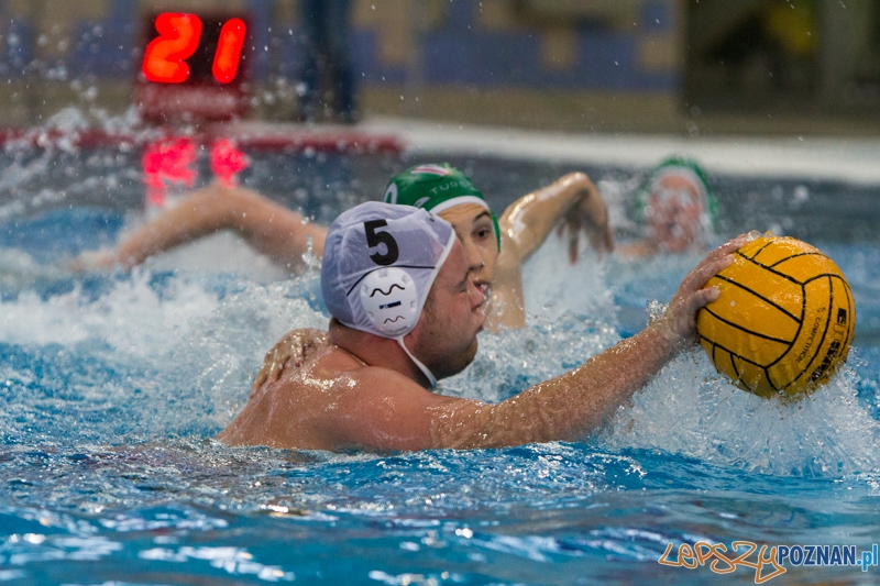 DSW Waterpolo Poznań - Legia Warszawa Foto: lepszyPOZNAN.pl / Piotr Rychter DSW Waterpolo Poznań - Legia Warszawa Foto: lepszyPOZNAN.pl / Piotr Rychter