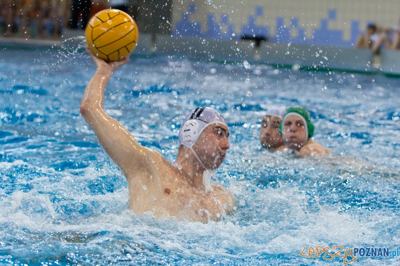 DSW Waterpolo Poznań - Legia Warszawa Foto: lepszyPOZNAN.pl / Piotr Rychter DSW Waterpolo Poznań - Legia Warszawa Foto: lepszyPOZNAN.pl / Piotr Rychter