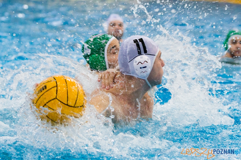 DSW Waterpolo Poznań - Legia Warszawa Foto: lepszyPOZNAN.pl / Piotr Rychter DSW Waterpolo Poznań - Legia Warszawa Foto: lepszyPOZNAN.pl / Piotr Rychter