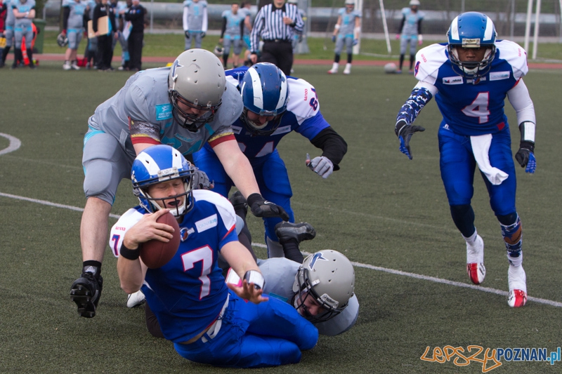 Kozły Poznań - Warsaw Sharks Foto: lepszyPOZNAN.pl / Piotr Rychter Kozły Poznań - Warsaw Sharks Foto: lepszyPOZNAN.pl / Piotr Rychter