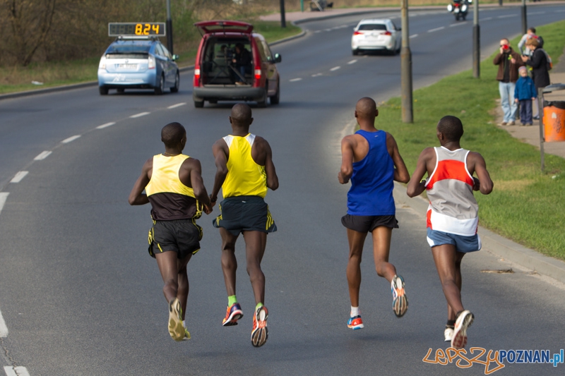 7. Poznań półmaraton - 6.04.2014 r. Foto: lepszyPOZNAN.pl / Piotr Rychter 7. Poznań półmaraton - 6.04.2014 r. Foto: lepszyPOZNAN.pl / Piotr Rychter