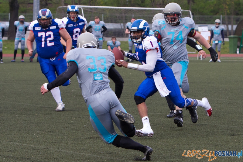 Kozły Poznań - Warsaw Sharks Foto: lepszyPOZNAN.pl / Piotr Rychter Kozły Poznań - Warsaw Sharks Foto: lepszyPOZNAN.pl / Piotr Rychter