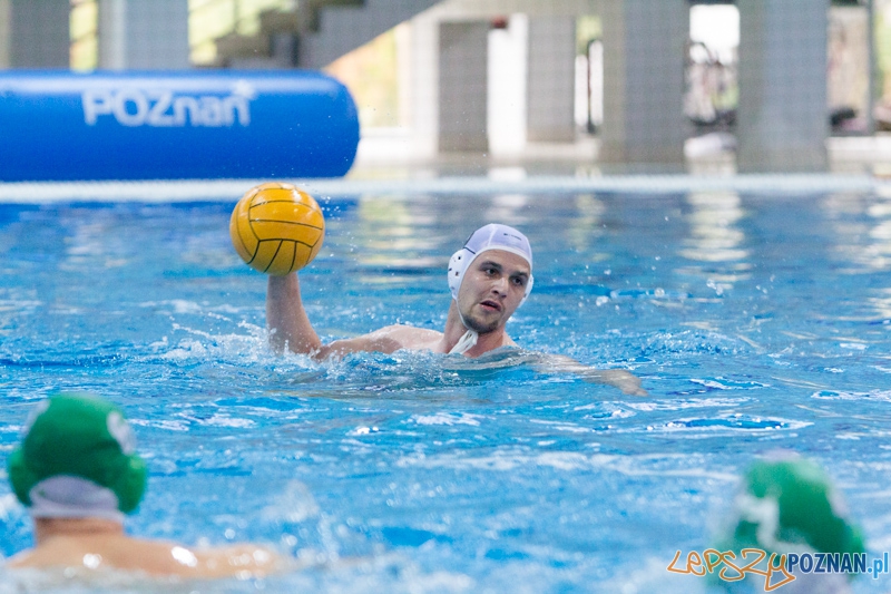 DSW Waterpolo Poznań - Legia Warszawa Foto: lepszyPOZNAN.pl / Piotr Rychter DSW Waterpolo Poznań - Legia Warszawa Foto: lepszyPOZNAN.pl / Piotr Rychter