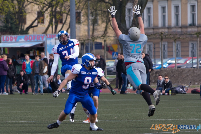 Kozły Poznań - Warsaw Sharks Foto: lepszyPOZNAN.pl / Piotr Rychter Kozły Poznań - Warsaw Sharks Foto: lepszyPOZNAN.pl / Piotr Rychter