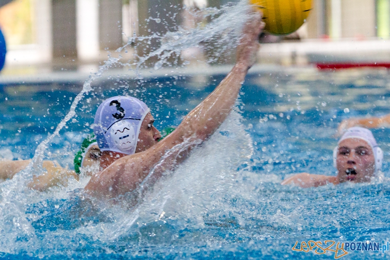 DSW Waterpolo Poznań - Legia Warszawa Foto: lepszyPOZNAN.pl / Piotr Rychter DSW Waterpolo Poznań - Legia Warszawa Foto: lepszyPOZNAN.pl / Piotr Rychter