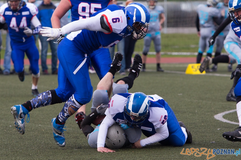 Kozły Poznań - Warsaw Sharks Foto: lepszyPOZNAN.pl / Piotr Rychter Kozły Poznań - Warsaw Sharks Foto: lepszyPOZNAN.pl / Piotr Rychter