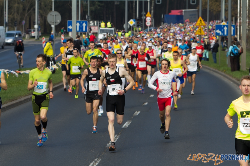 7. Poznań półmaraton - 6.04.2014 r. Foto: lepszyPOZNAN.pl / Piotr Rychter 7. Poznań półmaraton - 6.04.2014 r. Foto: lepszyPOZNAN.pl / Piotr Rychter