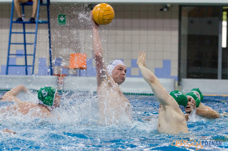 DSW Waterpolo Poznań - Legia Warszawa Foto: lepszyPOZNAN.pl / Piotr Rychter DSW Waterpolo Poznań - Legia Warszawa Foto: lepszyPOZNAN.pl / Piotr Rychter