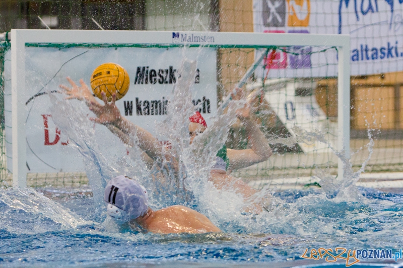DSW Waterpolo Poznań - Legia Warszawa Foto: lepszyPOZNAN.pl / Piotr Rychter DSW Waterpolo Poznań - Legia Warszawa Foto: lepszyPOZNAN.pl / Piotr Rychter