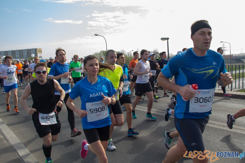 7. Poznań półmaraton - 6.04.2014 r. Foto: lepszyPOZNAN.pl / Piotr Rychter 7. Poznań półmaraton - 6.04.2014 r. Foto: lepszyPOZNAN.pl / Piotr Rychter