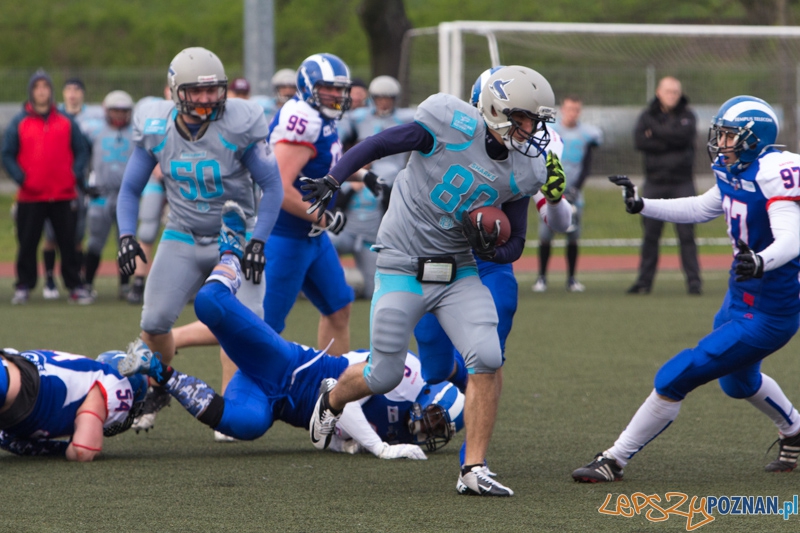 Kozły Poznań - Warsaw Sharks Foto: lepszyPOZNAN.pl / Piotr Rychter Kozły Poznań - Warsaw Sharks Foto: lepszyPOZNAN.pl / Piotr Rychter
