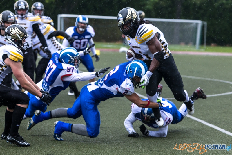 Kozły Poznań - Seahawks Gdynia - Poznań 17.05.2014 r. Foto: lepszyPOZNAN.pl / Piotr Rychter Kozły Poznań - Seahawks Gdynia - Poznań 17.05.2014 r. Foto: lepszyPOZNAN.pl / Piotr Rychter