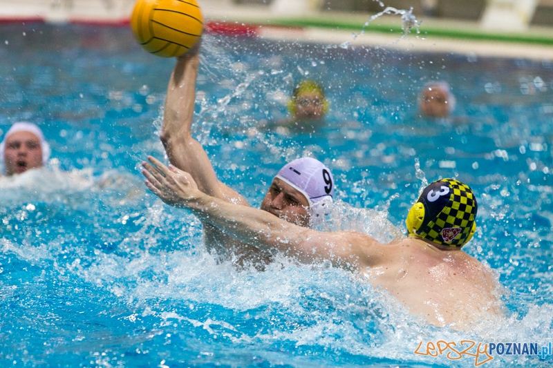 DSW Waterpolo Poznań - ŁSTW Uniwersytet Łódzki (Piotr Cichy, Jakub Bednarek) Foto: lepszyPOZNAN.pl / Piotr Rychter DSW Waterpolo Poznań - ŁSTW Uniwersytet Łódzki (Piotr Cichy, Jakub Bednarek) Foto: lepszyPOZNAN.pl / Piotr Rychter