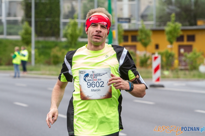 Wings For Life Poland - Poznań 04.05.2014 r. Foto: LepszyPOZNAN.pl / Paweł Rychter Wings For Life Poland - Poznań 04.05.2014 r. Foto: LepszyPOZNAN.pl / Paweł Rychter
