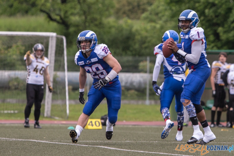 Kozły Poznań - Seahawks Gdynia - Poznań 17.05.2014 r. Foto: lepszyPOZNAN.pl / Piotr Rychter Kozły Poznań - Seahawks Gdynia - Poznań 17.05.2014 r. Foto: lepszyPOZNAN.pl / Piotr Rychter