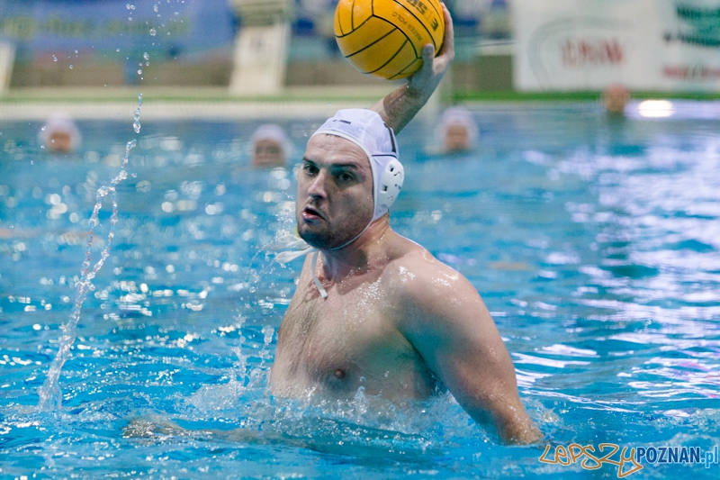 DSW Waterpolo Poznań - ŁSTW Uniwersytet Łódzki (Tomasz Różycki) Foto: lepszyPOZNAN.pl / Piotr Rychter DSW Waterpolo Poznań - ŁSTW Uniwersytet Łódzki (Tomasz Różycki) Foto: lepszyPOZNAN.pl / Piotr Rychter