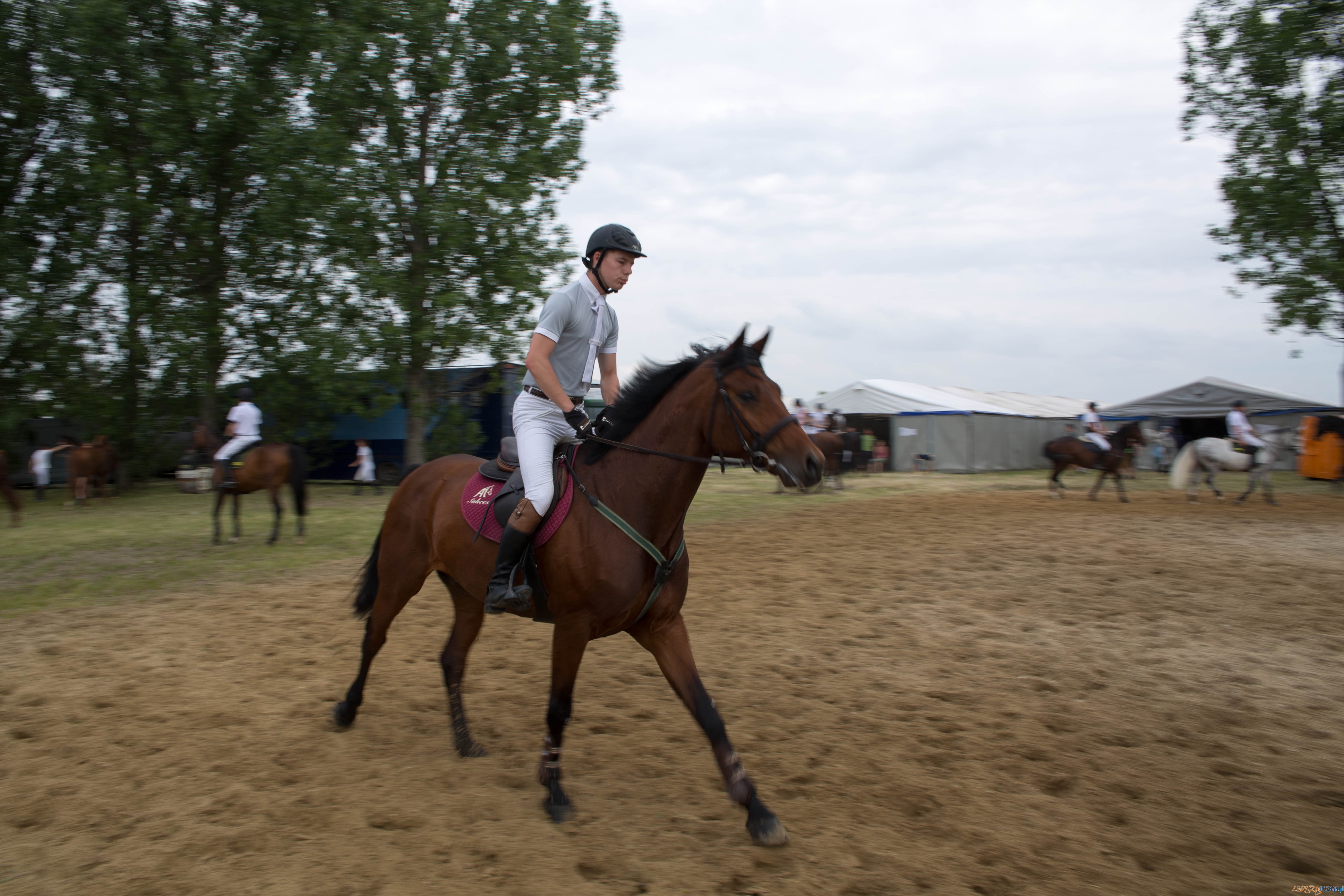 Majówka z koniem Foto: lepszyPOZNAN.pl / Katarzyna Stawecka Majówka z koniem Foto: lepszyPOZNAN.pl / Katarzyna Stawecka