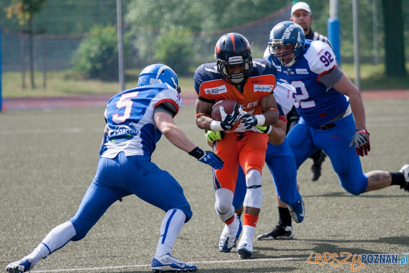 Kozły Poznań vs Warsaw Eagles (24.05.2014) Młodzieżowy Ośrodek Kultury Foto: foto: LepszyPOZNAN.pl / Karolina Kiraga Kozły Poznań vs Warsaw Eagles (24.05.2014) Młodzieżowy Ośrodek Kultury Foto: foto: LepszyPOZNAN.pl / Karolina Kiraga