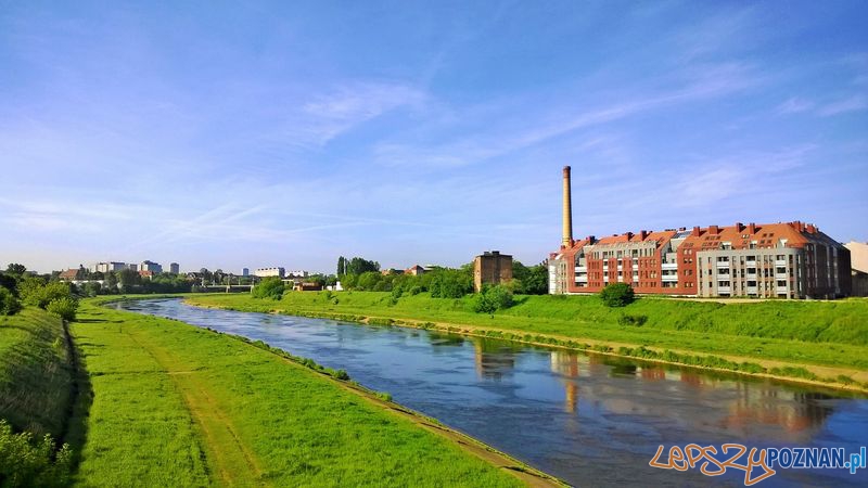 Warta w Poznaniu 16 maja 2014  Foto: lepszyPOZNAN.pl / TD