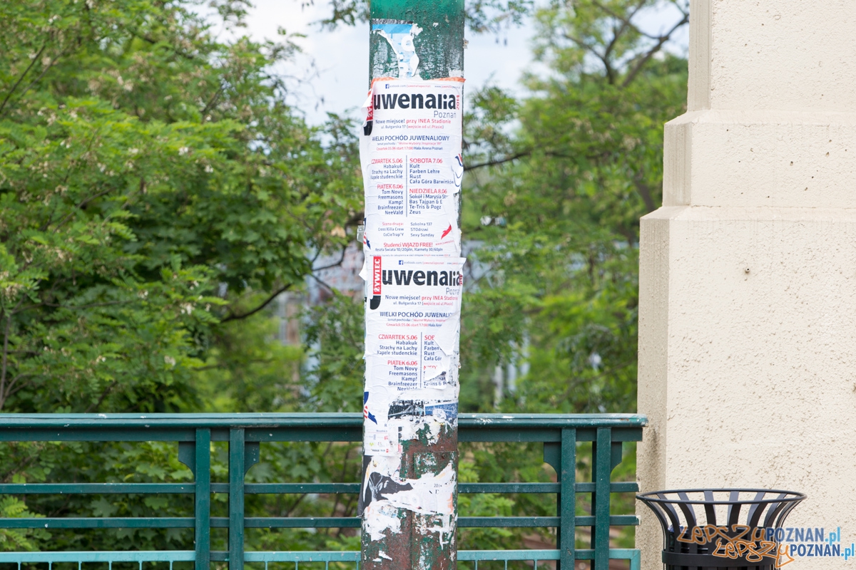 Zaśmiecona teatralka plakatami Juwenaliów Foto: lepszyPOZNAN.pl / Piotr Rychter Zaśmiecona teatralka plakatami Juwenaliów Foto: lepszyPOZNAN.pl / Piotr Rychter
