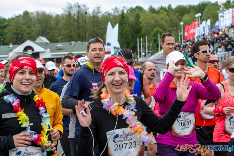 Wings For Life Poland - Poznań 04.05.2014 r. Foto: LepszyPOZNAN.pl / Paweł Rychter Wings For Life Poland - Poznań 04.05.2014 r. Foto: LepszyPOZNAN.pl / Paweł Rychter
