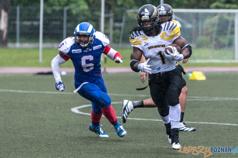 Kozły Poznań - Seahawks Gdynia - Poznań 17.05.2014 r. Foto: lepszyPOZNAN.pl / Piotr Rychter Kozły Poznań - Seahawks Gdynia - Poznań 17.05.2014 r. Foto: lepszyPOZNAN.pl / Piotr Rychter