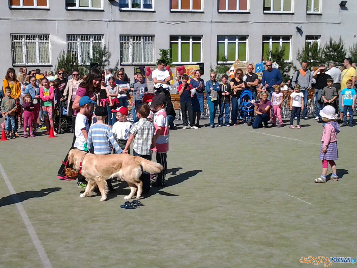 Festyn z okazji Dnia Dziecka Foto: lepszyPOZNAN.pl / tab Festyn z okazji Dnia Dziecka Foto: lepszyPOZNAN.pl / tab