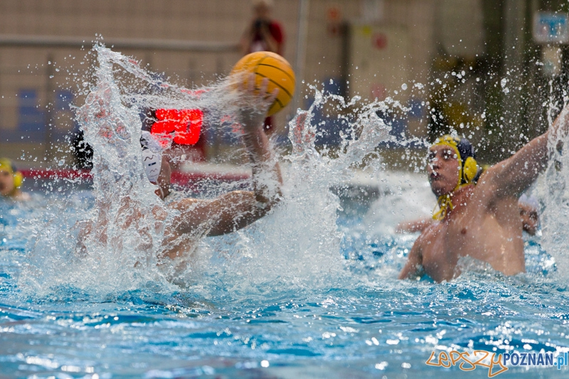 DSW Waterpolo Poznań - ŁSTW Uniwersytet Łódzki Foto: lepszyPOZNAN.pl / Piotr Rychter DSW Waterpolo Poznań - ŁSTW Uniwersytet Łódzki Foto: lepszyPOZNAN.pl / Piotr Rychter