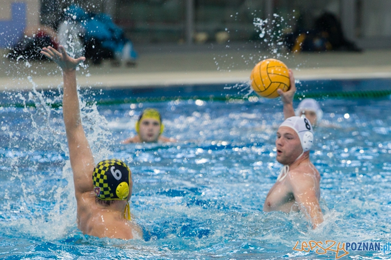 DSW Waterpolo Poznań - ŁSTW Uniwersytet Łódzki (Paweł Wielgórski) Foto: lepszyPOZNAN.pl / Piotr Rychter DSW Waterpolo Poznań - ŁSTW Uniwersytet Łódzki (Paweł Wielgórski) Foto: lepszyPOZNAN.pl / Piotr Rychter