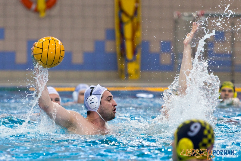DSW Waterpolo Poznań - ŁSTW Uniwersytet Łódzki (Tomasz Różycki) Foto: lepszyPOZNAN.pl / Piotr Rychter DSW Waterpolo Poznań - ŁSTW Uniwersytet Łódzki (Tomasz Różycki) Foto: lepszyPOZNAN.pl / Piotr Rychter