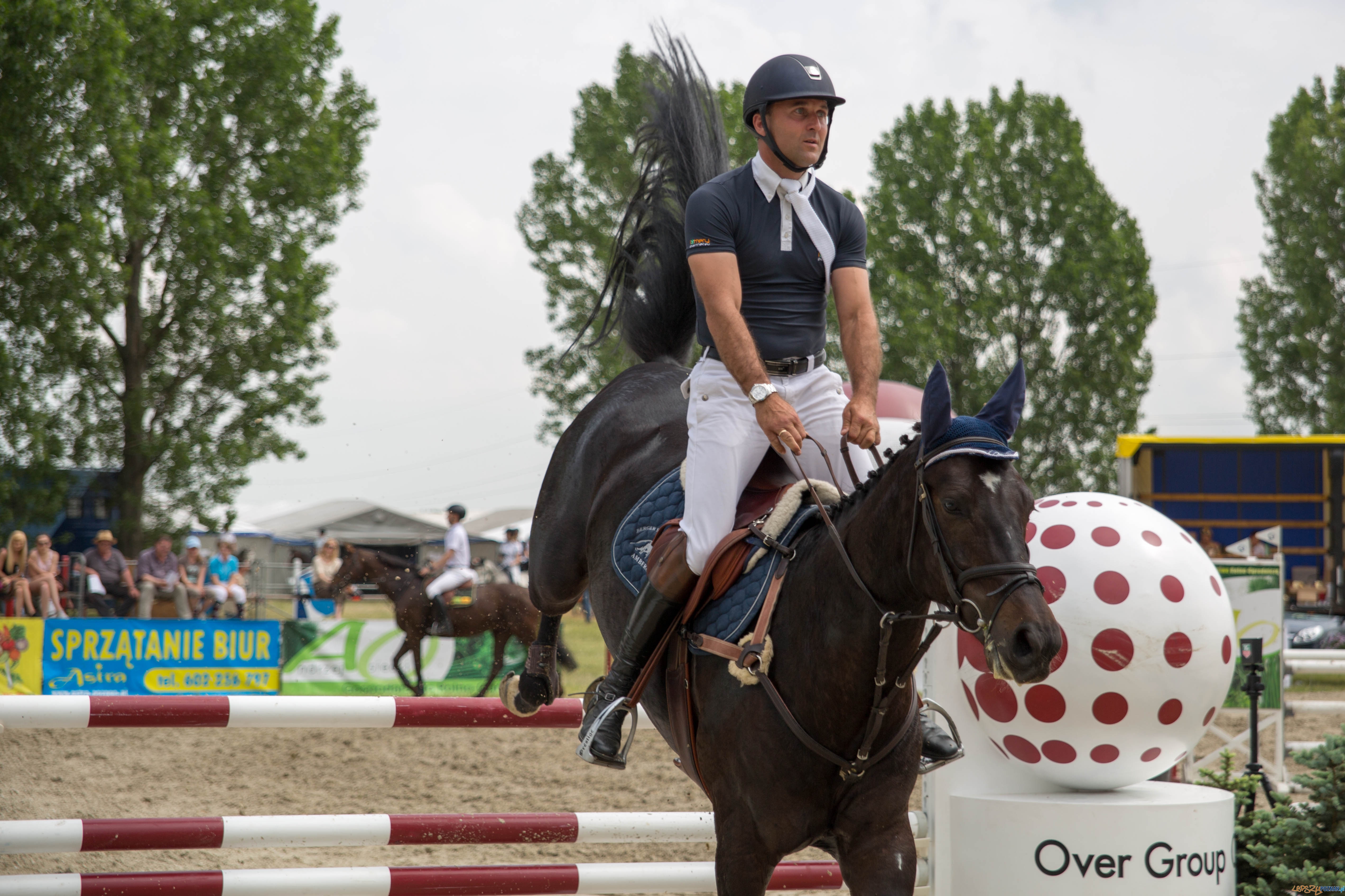 Majówka z koniem Foto: lepszyPOZNAN.pl / Katarzyna Stawecka Majówka z koniem Foto: lepszyPOZNAN.pl / Katarzyna Stawecka
