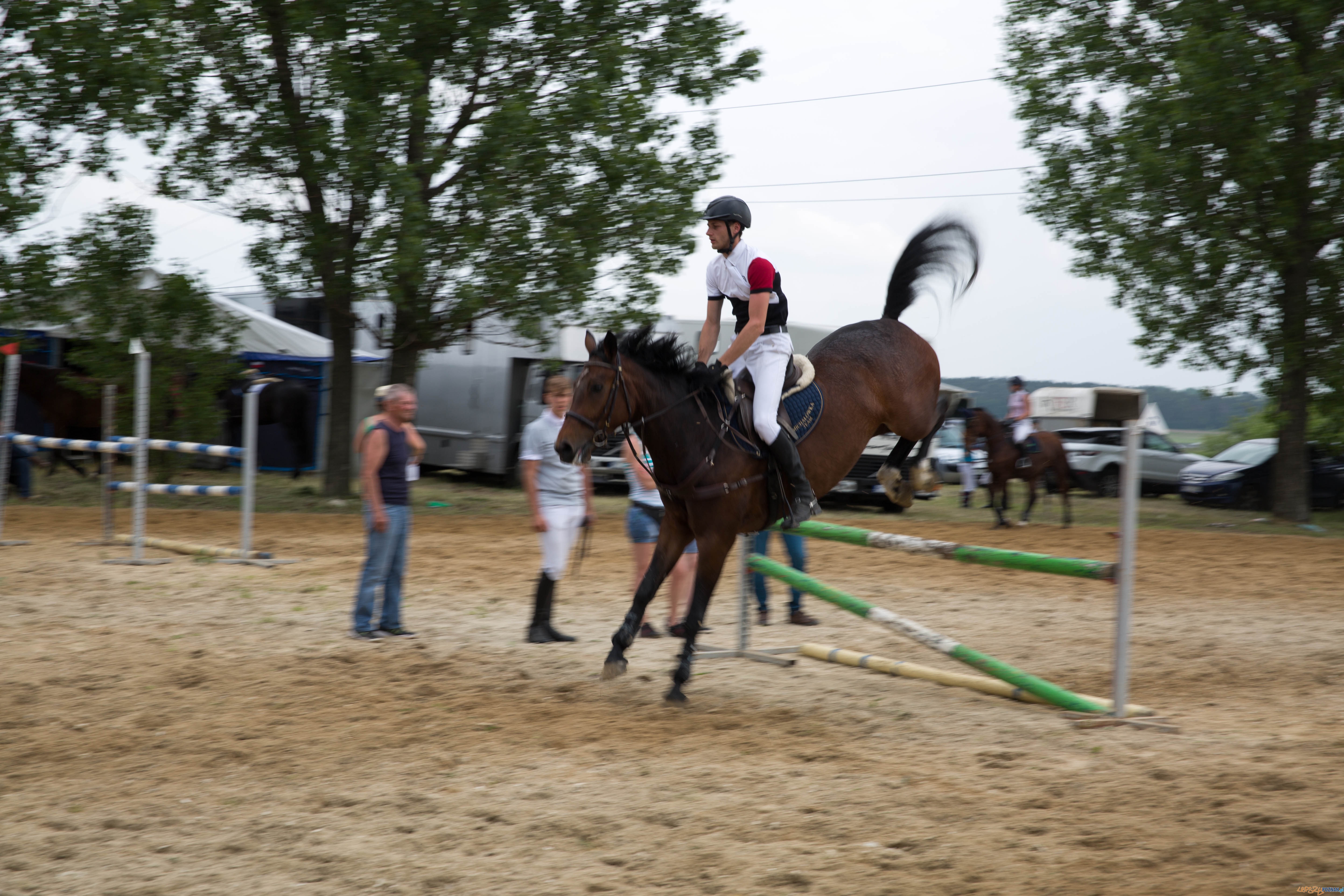 Majówka z koniem Foto: lepszyPOZNAN.pl / Katarzyna Stawecka Majówka z koniem Foto: lepszyPOZNAN.pl / Katarzyna Stawecka