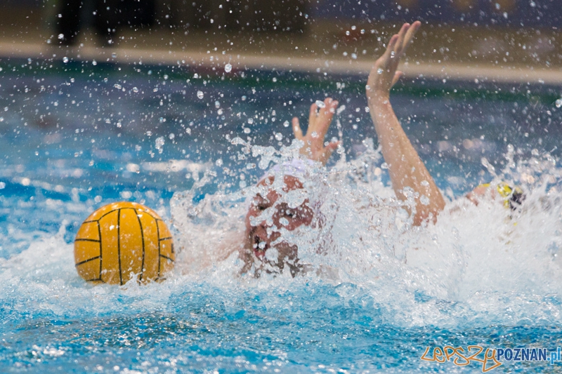 DSW Waterpolo Poznań - ŁSTW Uniwersytet Łódzki Foto: lepszyPOZNAN.pl / Piotr Rychter DSW Waterpolo Poznań - ŁSTW Uniwersytet Łódzki Foto: lepszyPOZNAN.pl / Piotr Rychter