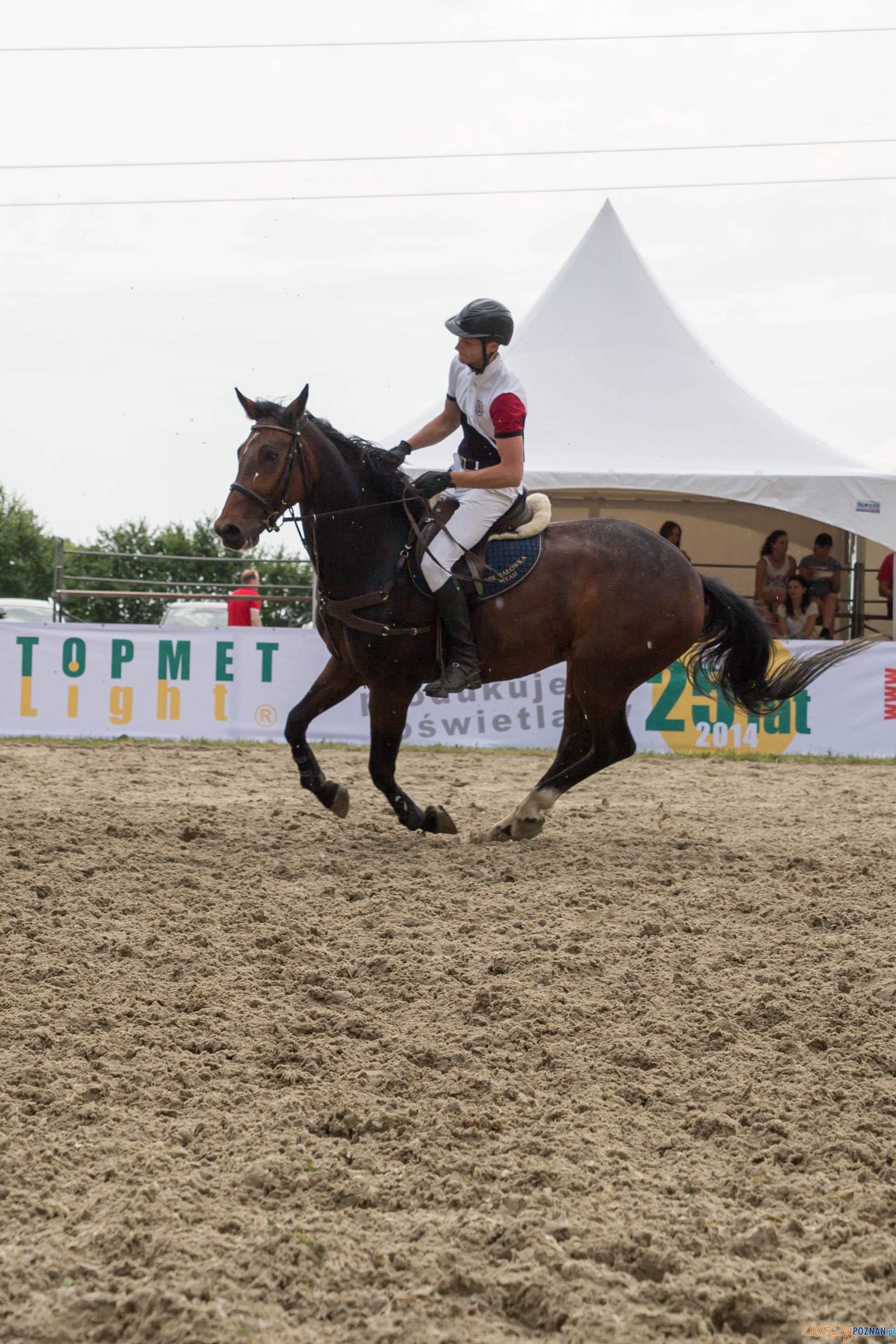 Majówka z koniem Foto: lepszyPOZNAN.pl / Katarzyna Stawecka Majówka z koniem Foto: lepszyPOZNAN.pl / Katarzyna Stawecka