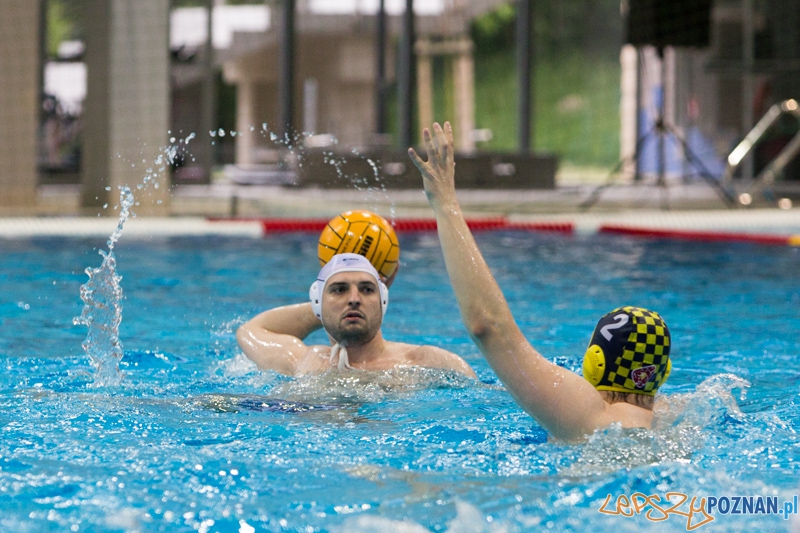 DSW Waterpolo Poznań - ŁSTW Uniwersytet Łódzki (Tomasz Różycki) Foto: lepszyPOZNAN.pl / Piotr Rychter DSW Waterpolo Poznań - ŁSTW Uniwersytet Łódzki (Tomasz Różycki) Foto: lepszyPOZNAN.pl / Piotr Rychter