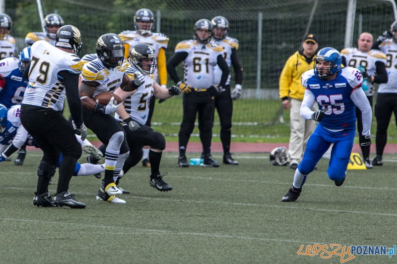 Kozły Poznań - Seahawks Gdynia - Poznań 17.05.2014 r. Foto: lepszyPOZNAN.pl / Piotr Rychter Kozły Poznań - Seahawks Gdynia - Poznań 17.05.2014 r. Foto: lepszyPOZNAN.pl / Piotr Rychter