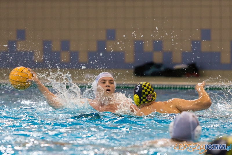 DSW Waterpolo Poznań - ŁSTW Uniwersytet Łódzki Foto: lepszyPOZNAN.pl / Piotr Rychter DSW Waterpolo Poznań - ŁSTW Uniwersytet Łódzki Foto: lepszyPOZNAN.pl / Piotr Rychter